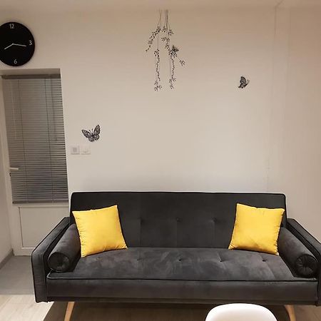 Апартаменты Studio Place De La Barre Le Cosy Макон Экстерьер фото